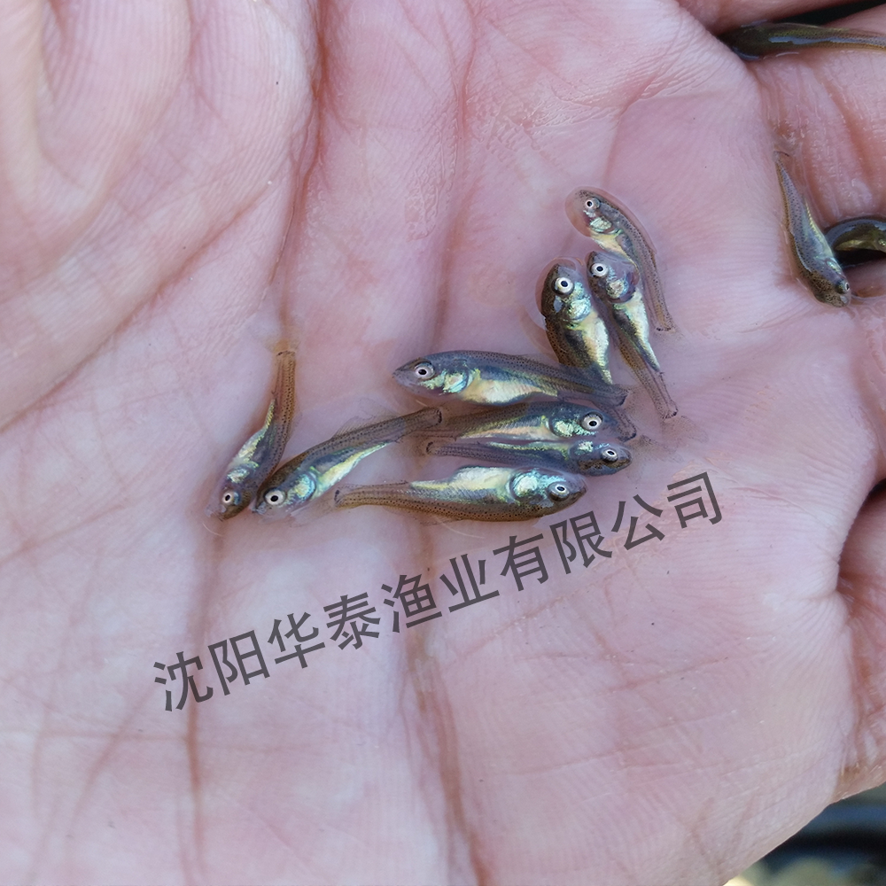 &#33521;&#22269;&#19978;&#24066;&#20844;&#21496;&#23448;&#32593;&#51;&#54;&#53;&#40;&#20013;&#22269;&#41;&#32929;&#20221;&#26377;&#38480;&#20844;&#21496;