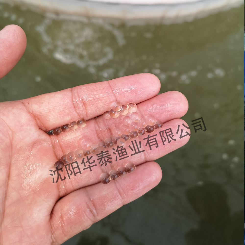 &#33521;&#22269;&#19978;&#24066;&#20844;&#21496;&#23448;&#32593;&#51;&#54;&#53;&#40;&#20013;&#22269;&#41;&#32929;&#20221;&#26377;&#38480;&#20844;&#21496;