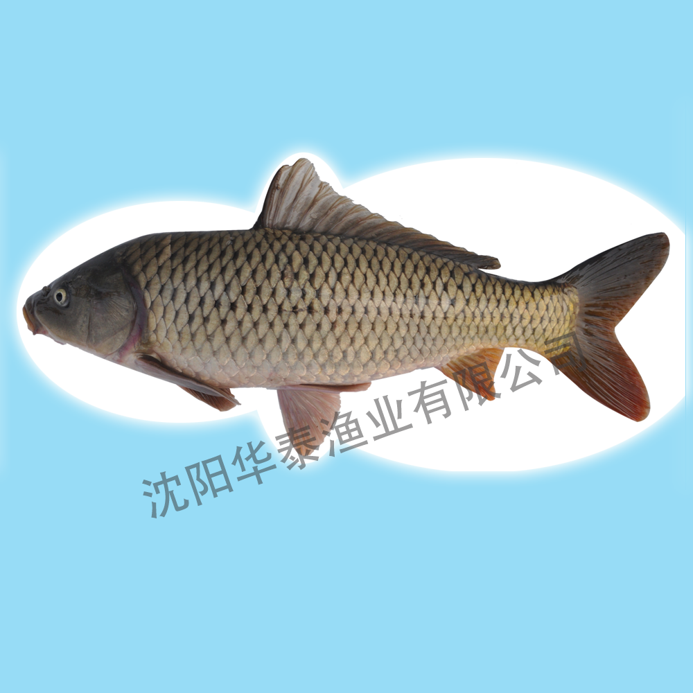 &#33521;&#22269;&#19978;&#24066;&#20844;&#21496;&#23448;&#32593;&#51;&#54;&#53;&#40;&#20013;&#22269;&#41;&#32929;&#20221;&#26377;&#38480;&#20844;&#21496;