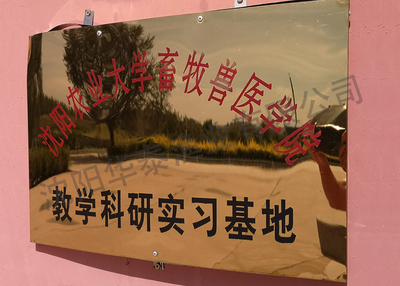 &#33521;&#22269;&#19978;&#24066;&#20844;&#21496;&#23448;&#32593;&#51;&#54;&#53;&#40;&#20013;&#22269;&#41;&#32929;&#20221;&#26377;&#38480;&#20844;&#21496;